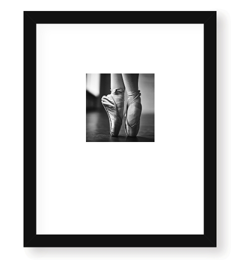 Framed 16 x 20 Print