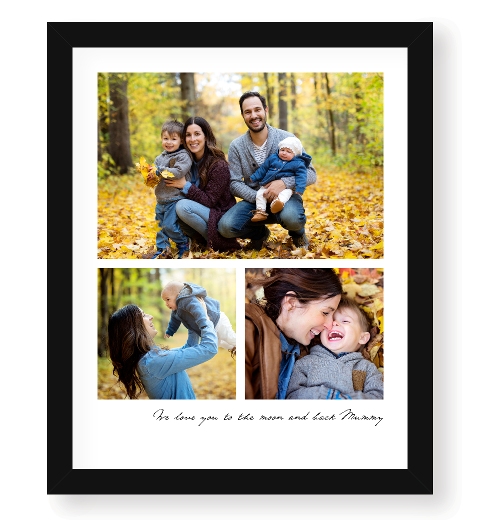 Framed 16 x 20 Print