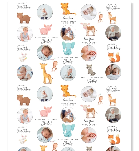 Baby Animals Wrapping Paper