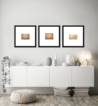 LOMVIKEN Frame, gold-colour, 30x40 cm - IKEA